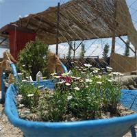 Cocuk Parki Eglence Yeri Ozel Piknik Kiralik Yeri Konya