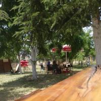 Konya Piknik Eglence Alanlari Cocuk Parki Ozel Piknik Kamelyasi